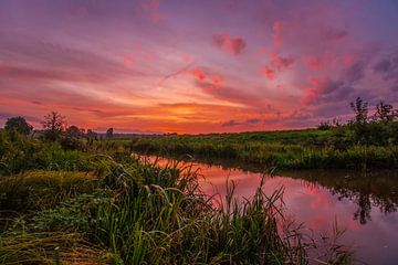 Rood kleurende zonsopgang bij kanaal van Daphne Kleine