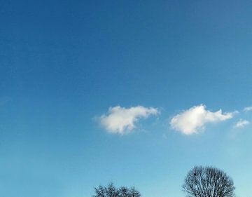 Wolken en boomtoppen von Rinke Velds