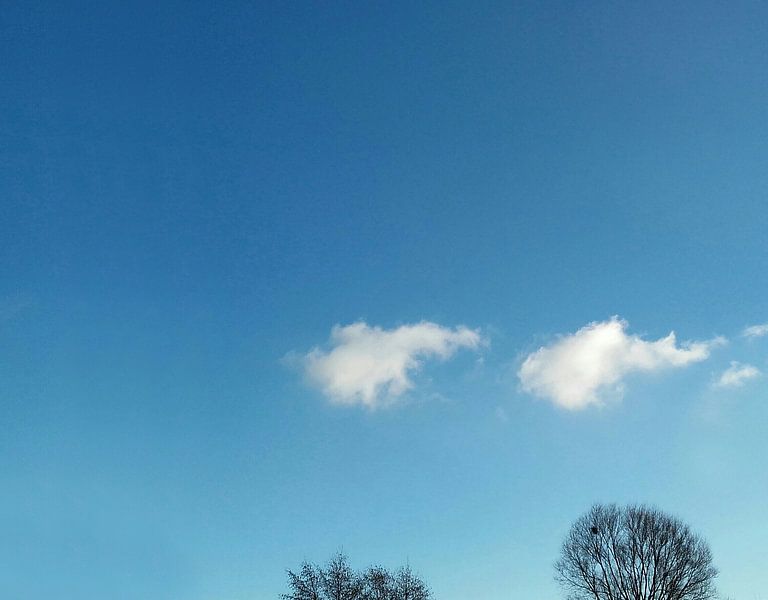 Wolken en boomtoppen van Rinke Velds