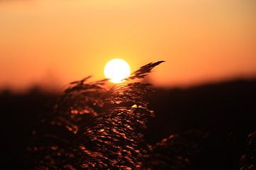 Sunset by Marijn Van Hattum