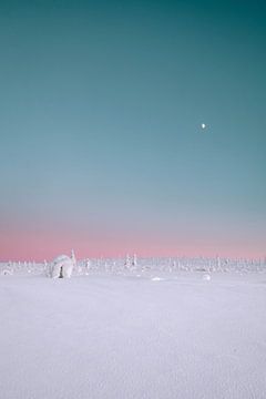 Pastel zonsondergang in de sneeuw | reisfotografie print | Saariselkä Lapland Finland van Kimberley Jekel