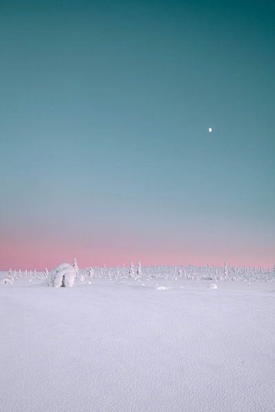 Pastellfarbener Sonnenuntergang im Schnee | Reisefotografie Druck | Saariselkä Lappland Finnland von Kimberley Jekel