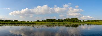 Wieden landscape panorama by Sjoerd van der Wal Photography