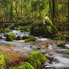 Dromerige beek in sprookjesbos 2, long exposure | Vogezen, Frankrijk van Merlijn Arina Photography