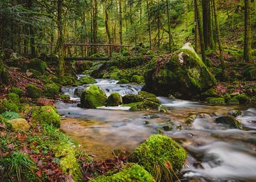 Dreamy stream in fairytale forest 2, long exposure | Vosges, France