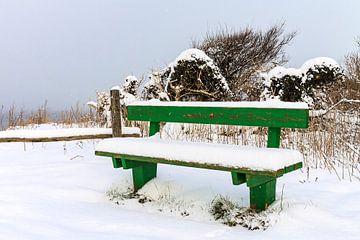 Winter on the Baltic Sea coast van Rico Ködder