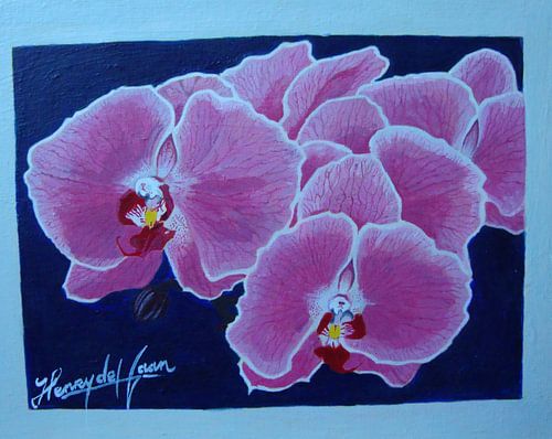Roze Orchideeen