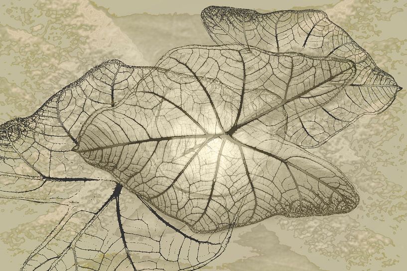 Le dessin au trait dans la nature. Art numérique par Alie Ekkelenkamp