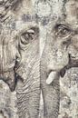 Touched by Gitta Reiszner thumbnail