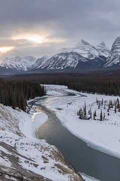 Winter in de  Canadese Rocky Mountains van Jasper National Park van Jonathan Vandevoorde