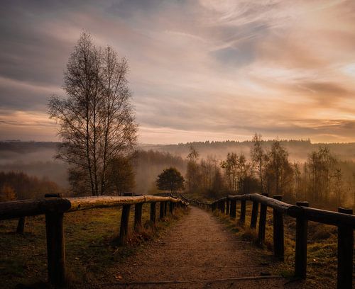 Kwintelooijen part 21