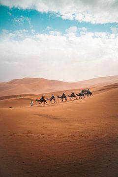 Een kamelentocht door de woestijn in Egypte van MADK