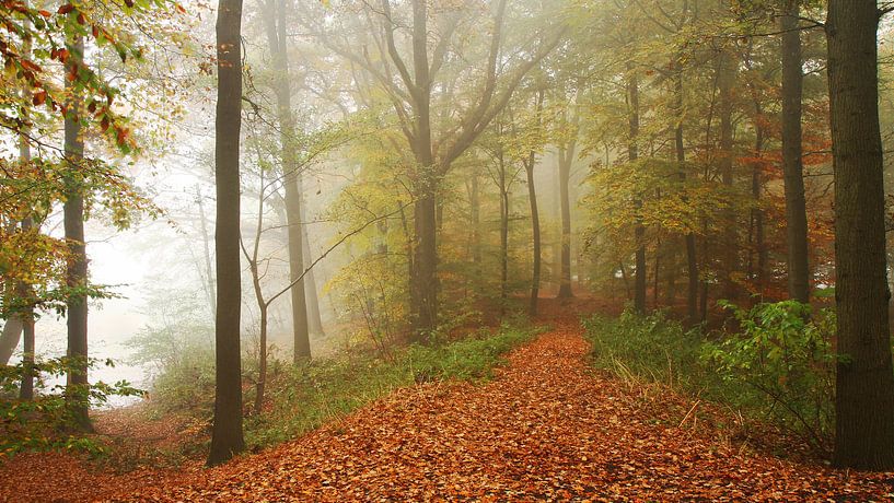Landschap Herfst 3 Panorama uitsnede by Joop de Lange
