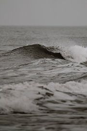 Wattenmeer von Inge Pieck