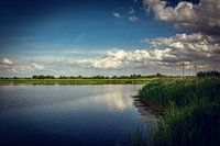 Seeblick