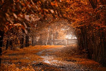 Herbstlicher Anblick von P Kuipers