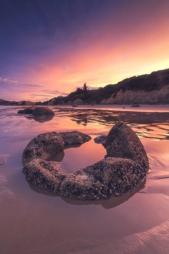 New Zealand Boulder Beach Sunset by Jean Claude Castor