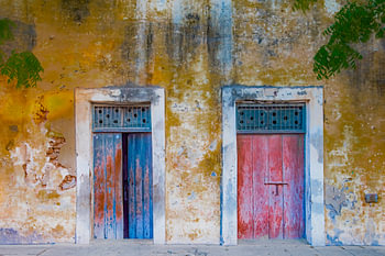 The beauty of decay