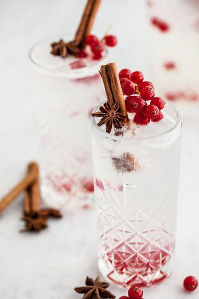Soda vom Weihnachtsmann von Nina van der Kleij