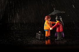 playmobil amoureux by celine bg