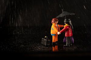 playmobil amoureux sur celine bg