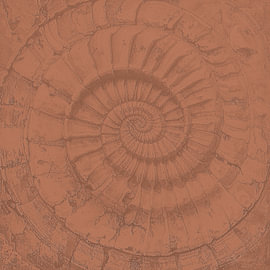 Japandi Fossil der Erdgeschichte von AidasignArt