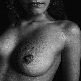 Do you like? van Kees de Knegt