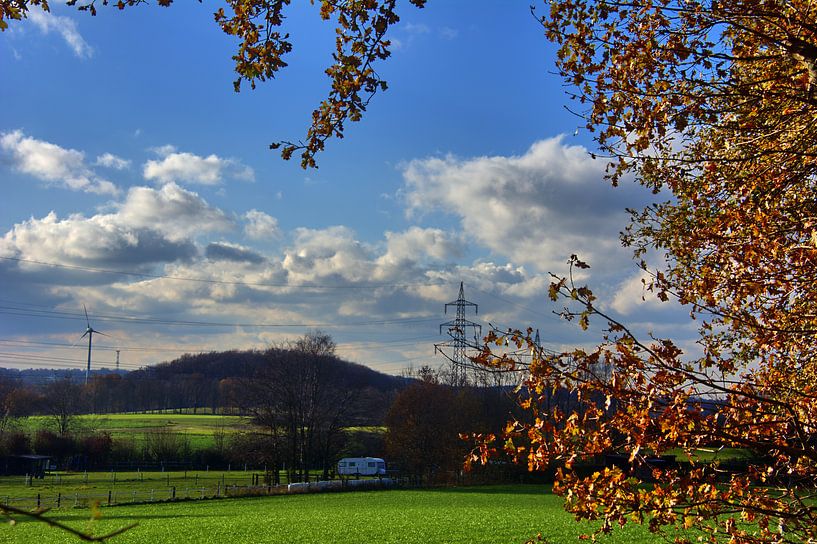 Haarlandschap 2 van Edgar Schermaul
