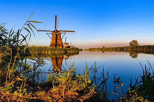 Moulin sur Kinderdijk