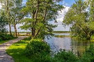 Naardermeer von Hans Lebbe Miniaturansicht