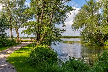Naardermeer