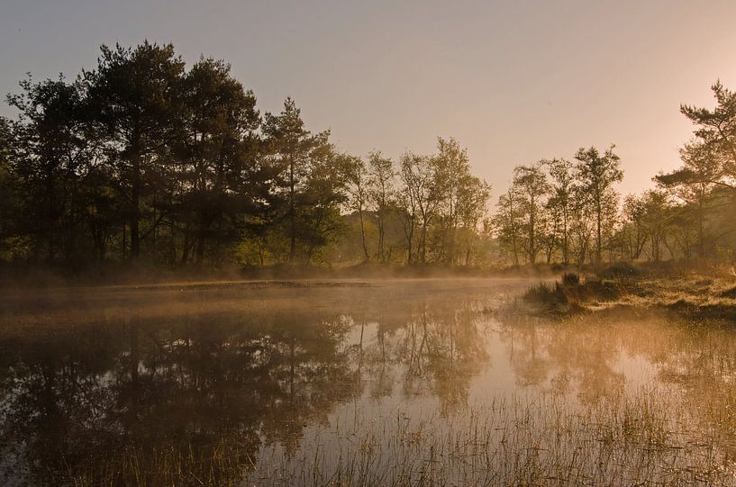 Nevelven par René Vos