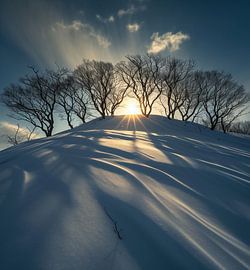 Landschaft im Winter