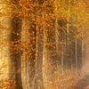 Atmosphärischer Waldweg im Herbst von Karla Leeftink
