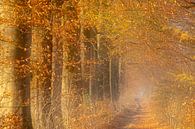 Sfeervol bos pad in de herfst van Karla Leeftink thumbnail