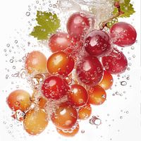 Close up of grapes falling into water