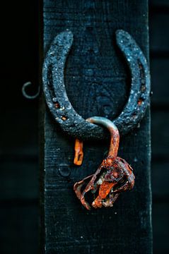 horseshoe and lock, captured luck by Vera Zuur