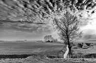 Capellepolder by Willy Lippens thumbnail