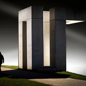 The Ornaments- The Ornaments by Anita Martin, AnnaPileaFotografie