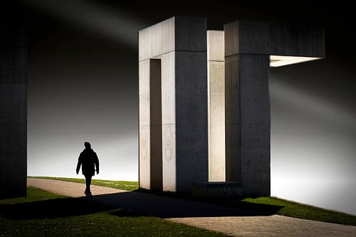 De Ornamenten- The Ornaments van Anita Martin, AnnaPileaFotografie