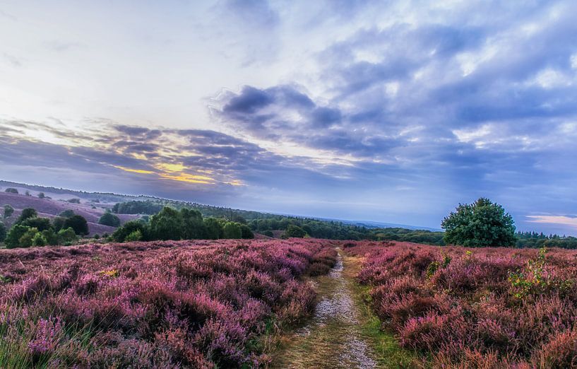 Zonsopkomst bij de Posbank / Sunrise at the Posbank by Anna Stelloo