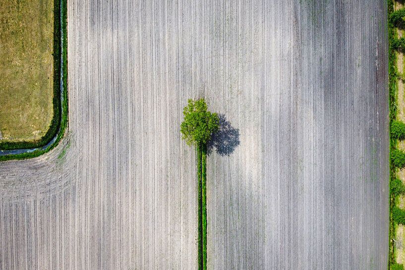 Paysage photographié d'en haut avec un drone par Pierre Verhoeven