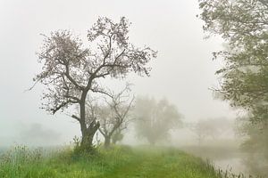 Paysage d'eau dans le brouillard