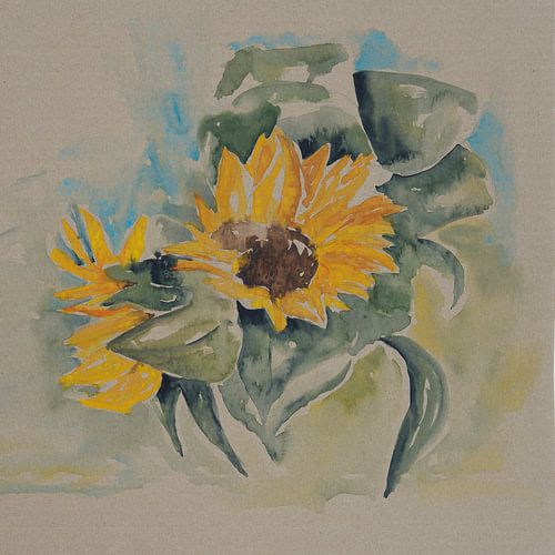 Zonnebloemen van dichtbij