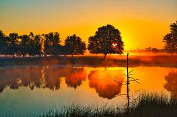 sunrise reflected by the trees in the water by Miny'S