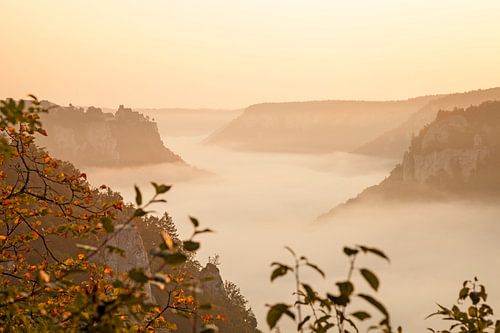 Herfstdonau-dal met mist