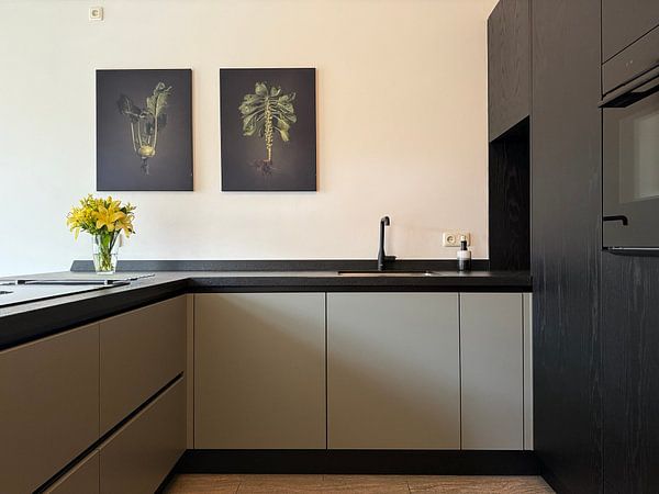 Gemüse der Saison - Feldsprossen