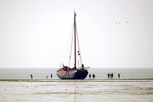 Bateau à voile sur les vasières