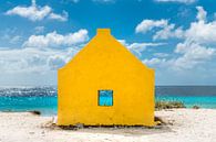 Strandhut op het eiland Bonair in het Caribisch gebied. van Voss Fine Art Fotografie thumbnail