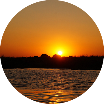 zonsondergang in Chobe van Erna Haarsma-Hoogterp